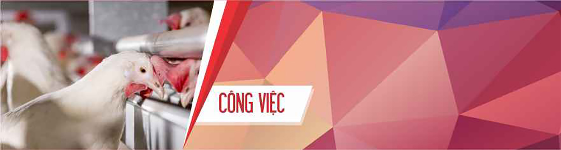 Công việc